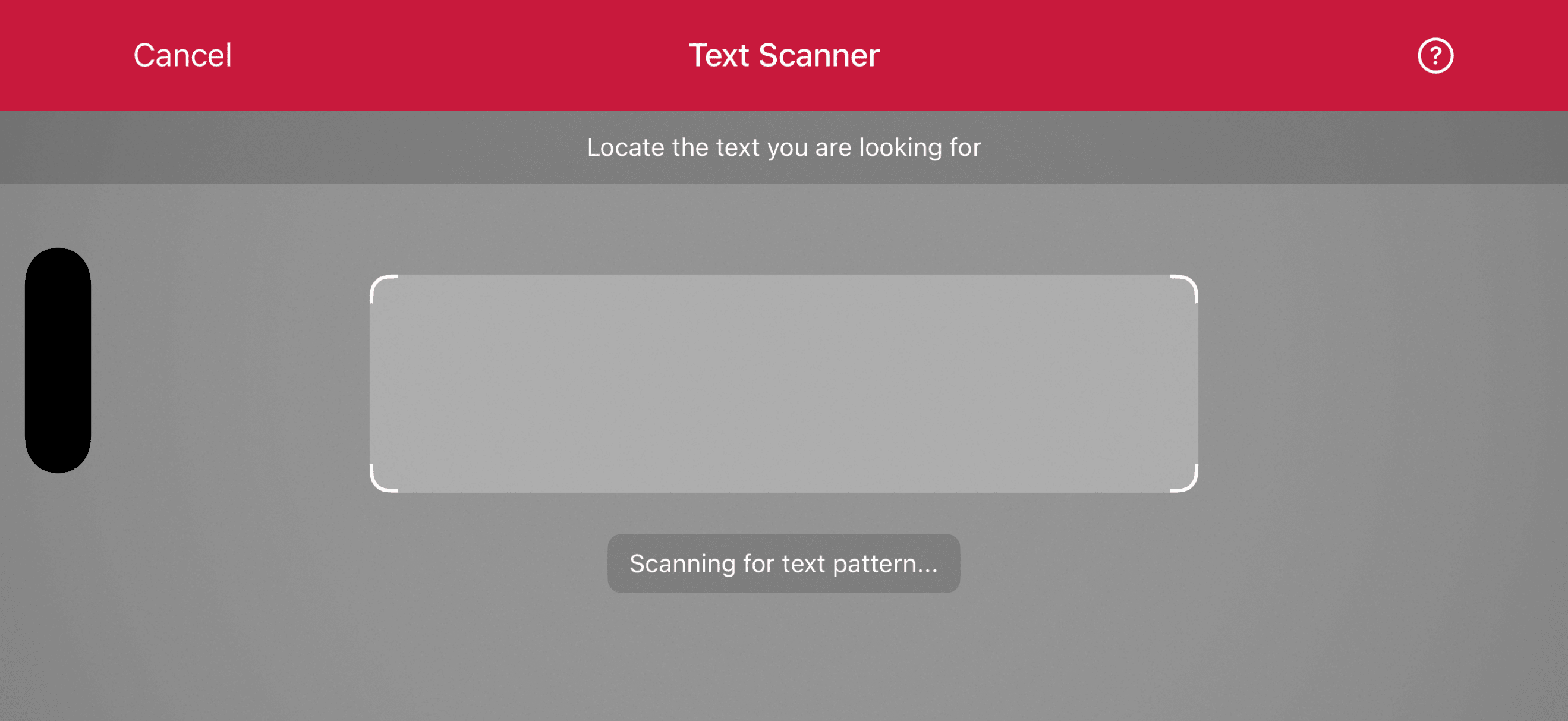 Text Pattern Scanner solid top bar in landscape orientation