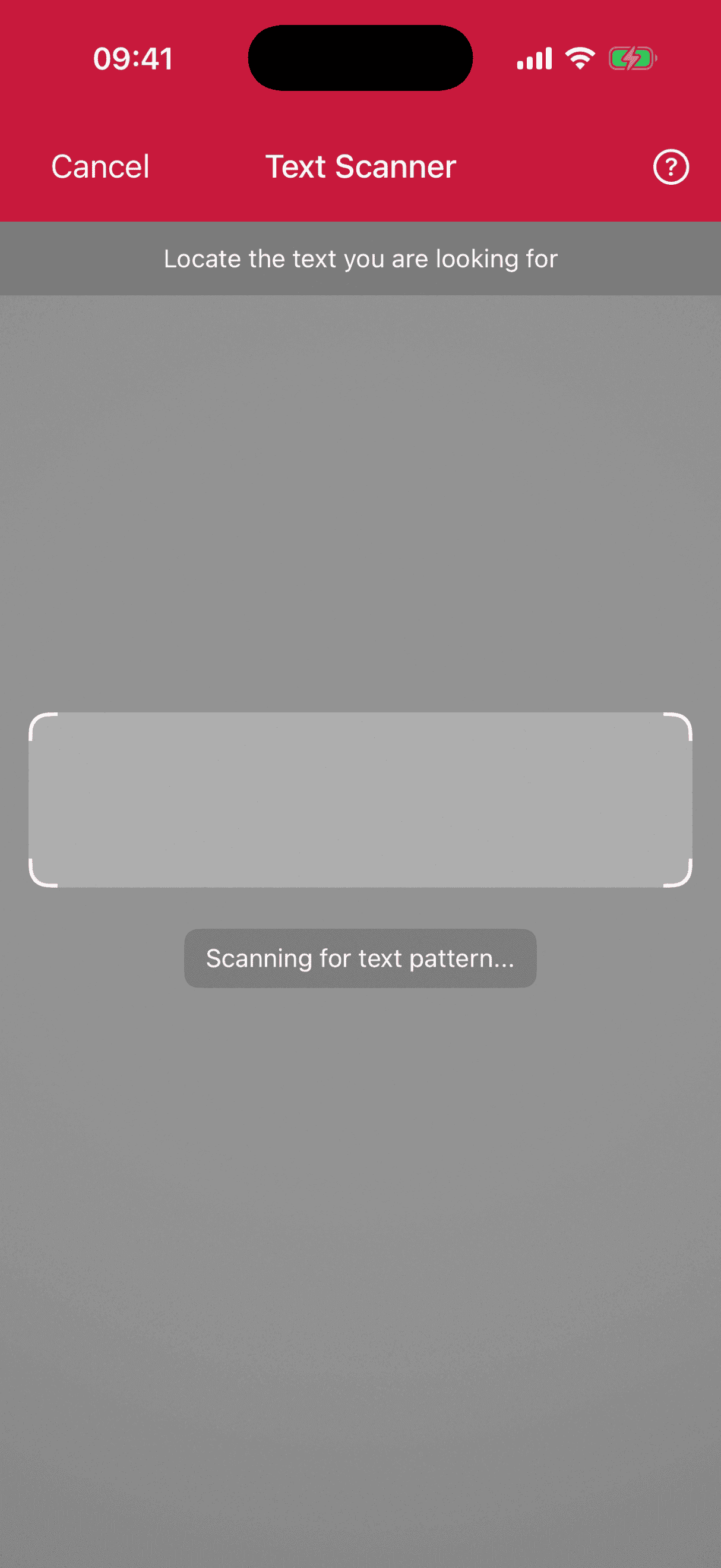 Text Pattern Scanner solid top bar in portrait orientation